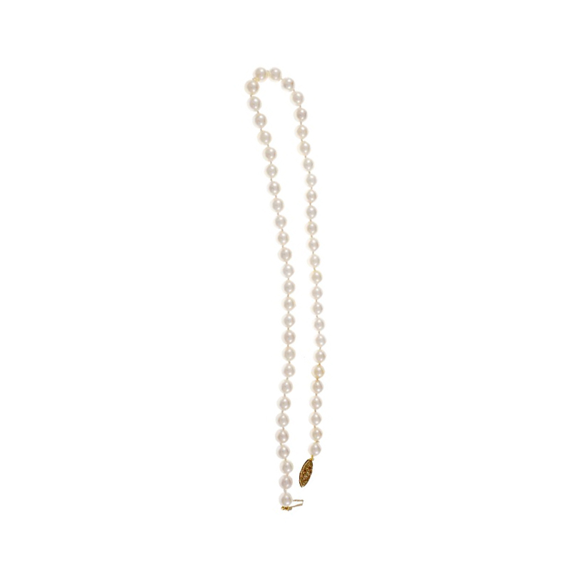 14K Yellow Gold with Akoya Cultured Pearl Necklace 