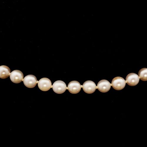 Japanese Estate 75 4.5 To 4.7mm 16 Inch Cultured Pearl 14k Necklace
