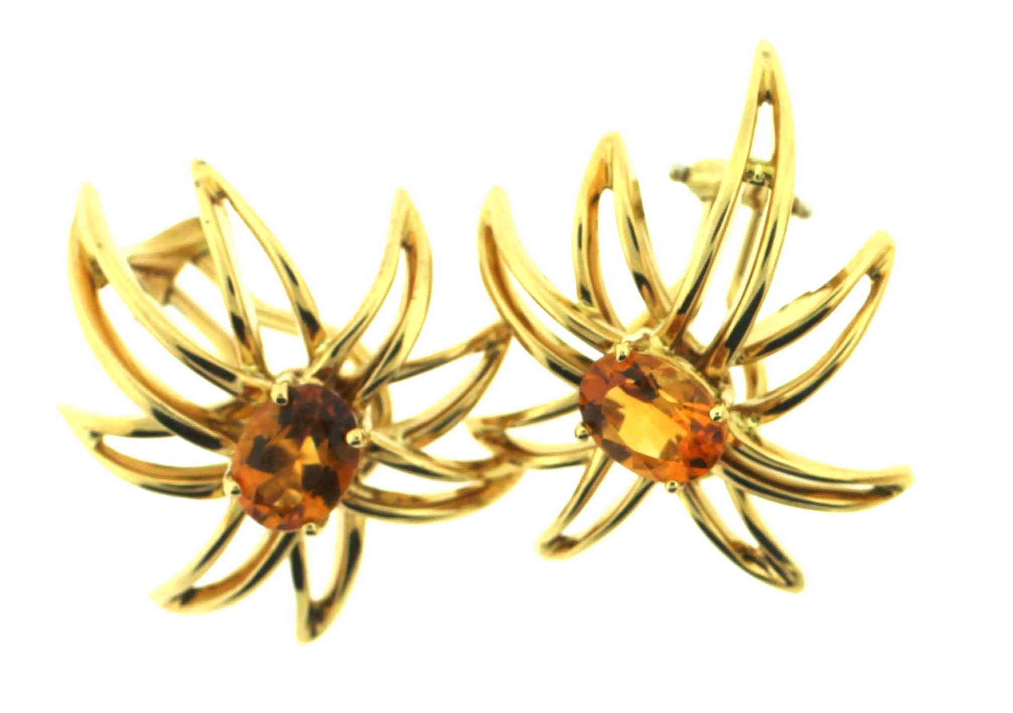 Tiffany & Co.  Citrine Fireworks Earring - Pin Set